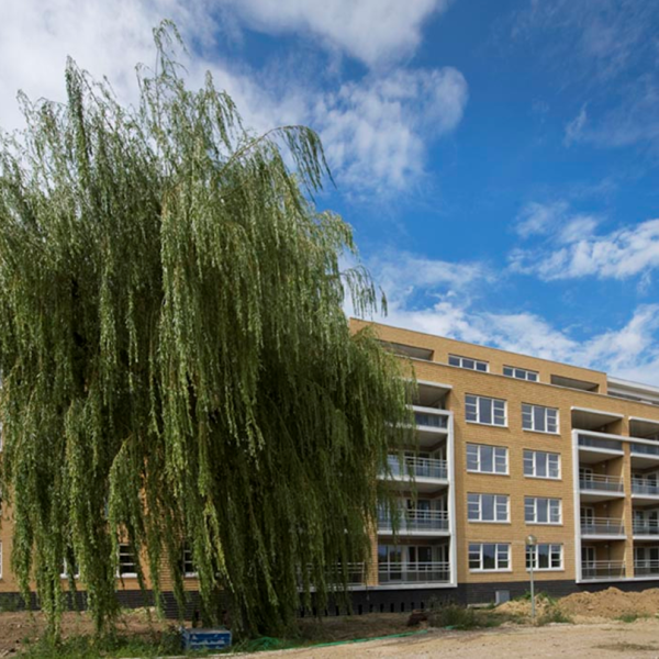 WozocoVaals WozocoVaals